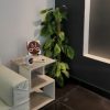 Coffee Table (side) طاولة قهوة - Image 2